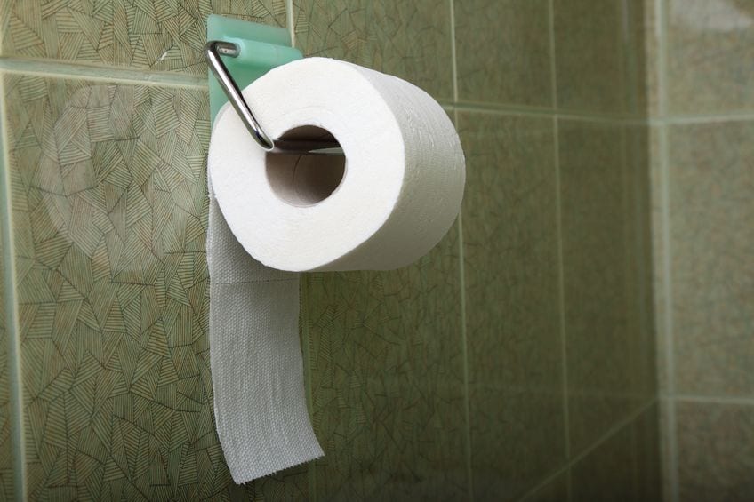 Toilet paper fan pic